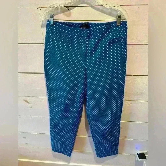 Talbot’s Hampshire curvy polka dot cotton pants size 6, blue, EUC, casual, work - Picture 2 of 10